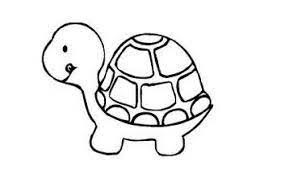 Tortoise gambar kura kura kartun hitam putih clipart full size clipart 1217185 pinclipart for more information and source, see on this link : 15 Gambar Sketsa Hewan Keren Beragam Jenis Broonet