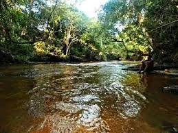 Assin Manso Ancestral Slave River Park was one of the largest slave markets  for gathering people to sell into slavery. This site, Donkor Nsuo, ”the slave  river”, is where slaves took their