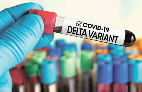 La variante delta, responsable del repunte actual de la epidemia en el reino unido, podría provocar una nueva ola a escala mundial durante el verano boreal si no se toman medidas de prevención, advierten expertos y autoridades sanitarias. Rlh3dgfpyccxfm