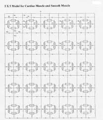Test 3 biology 3730 with schoech/freeman at university of memphis these pictures of this page are about. Transverse Propagation Of Action Potentials Between Parallel Chains Of Cardiac Muscle And Smooth Muscle Cells In Pspice Simulations Biomedical Engineering Online Full Text