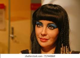 Female Taylor Photos, Images & Pictures