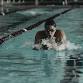Gardner-Webb University Swimming vs Cumberland  event image