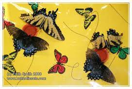 We did not find results for: How To Feed Gatorade To Butterflies Butterfly Fun Facts