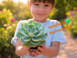 Let's welcome our new members: Nina Martinez, Renske van der Walt