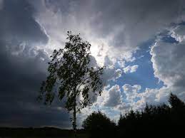 Dabei erwärmt sich die luftmasse allmählich. Unwetterwarnungen An Himmelfahrt Hier Drohen In Niedersachsen Unwetter