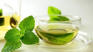 Daun puding hitam atau graptophillum pictum memiliki tampilan yang sangat indah sekaligus menyimpan banyak khasiat untuk kesehatan. Kelebihan Peppermint Yang Perlu Anda Tahu Sunah Suka Sakura