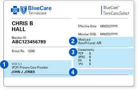 Bring your health insurance card with you blue cross and blue shield of minnesota and blue plus: Getting Started Bluecare Tennessee