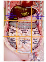 Surgical Technology General Surgery Flashcards Quizlet Medical Coding Medical Anatomy Nursing School