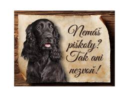 Image result for anglický kokršpaněl