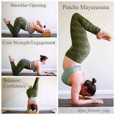 Pin By Khadija Craddock On Fitness Made Easy Easy Yoga Workouts Ashtanga Yoga Yoga Postures