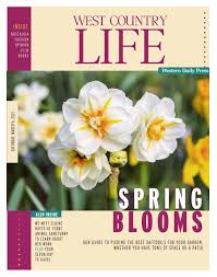 Western Daily Press 2021 03 06