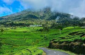 Gunung dempo merupakan puncak tertinggi di wilayah sumatera selatan. 7 Pesona Wisata Pagar Alam Yang Tak Boleh Dilewatkan Lengkap Dengan Harga Penginapan