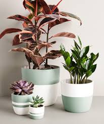 Medium Seafoam Pot Plant Pot Design Plant Pot Diy Painted Plant Pots
