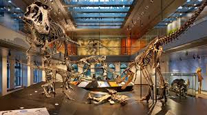 Socal Museums Natural History Museum Of Los Angeles County