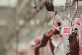 تفاصيل الخبر