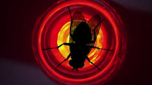 29 Fotografias Que Demuestran Que Breaking Bad Tuvo Un Trabajo Cinematografico Magnifico Breaking Bad Breaking Bad Series Fly Breaking Bad