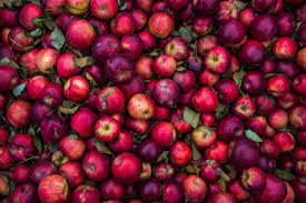 Fruit trees for sale sydney. Portland Fruit Tree Project