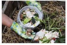 Senior Living | Vermicomposting