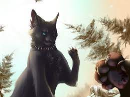 Scourge Killed The Tigerstar By Klaracrystalpaws Deviantart Com On Deviantart Warrior Cats Scourge Warrior Cats Fan Art Warrior Cats Art