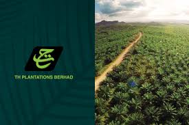 Establishment of fgv holdings berhad (fgv) in 2007, felda incorporated felda global ventures holdings sdn. The Chain Th Plantations Stop Work Order Violated By Pt Persada Kencana Prima S Deforestation Chain Reaction Research Sustainability Risk Analysis
