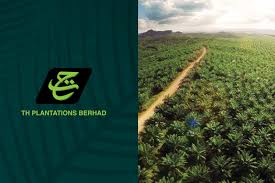Maybe you would like to learn more about one of these? The Chain Sarawak State Government To Purchase Th Plantations Sarawak Concessions But Ndpe Supply Chain Not Guaranteed Chain Reaction Research Sustainability Risk Analysis