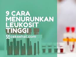 Sel darah putih dikenal sebagai leukosit memiliki tugas penting untuk melindungi tubuh dari agen infeksi dan polutan. 9 Cara Menurunkan Leukosit Tinggi Ceksehat Com Line Today