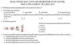 Peradangan pada saluran epididimis yang disebabkan oleh infeksi atau karena terkena penyakit menular seksual dinamakan… Soal Pts Ipa Kelas 9 Semester Ganjil Didno76 Com