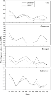 Image result for Oxycaryum