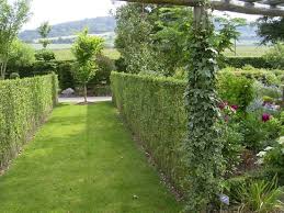 Der eintritt im botanischen garten ist kostenlos. Jardin Des Sorces Botanischer Garten Mit Freiem Eintritt Picture Of Le Jardin Des Sources Saint Martin Le Gaillard Tripadvisor