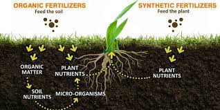 Coffee grounds coffee grounds come with a lot of uses, but one of their best is as a fertilizer. Differences Between Organic And Synthetic Fertilizers Milorganite