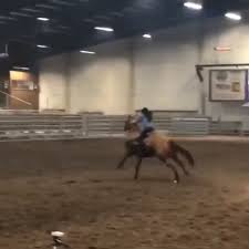 Team Equine Video Funny Horses Barrel Racing Horses Barrel Horse