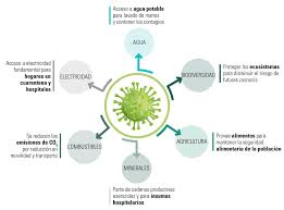 La crisis que la pandemia del coronavirus está causando, puede tener varios desenlaces dado en la región; El Rol De Los Recursos Naturales Ante La Pandemia Por El Covid 19 En America Latina Y El Caribe Enfoques Comision Economica Para America Latina Y El Caribe