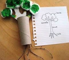 2 To The 1 To The 1 To The 3 I Like Good Trees Science Plants Kindergarten Science Lessons Plants Unit