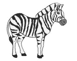 This will form the zebra's snout. How To Draw A Zebra For Beginners Archives How To Draw Step By Step