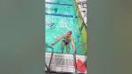 Fastest 25 Feet First Scull Ever #shorts - YouTube