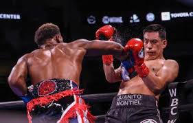 Get in on the latest boxing conversations in our forum and comment on articles. Jhamfvhmxjutum