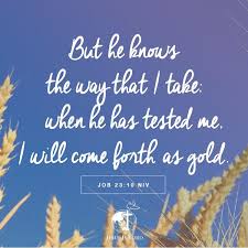 Verse Of The Day But He Knows The Way That I Take When He Has Tested Me I Will Come Forth As Gold Job 23 10 Niv Jesus Is Lord Verse