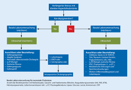 All people have a blood type (a, b, . Gallengangsatresie Springerlink