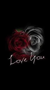 Pin By Mariam Amish On Wallpaper For Iphone 7 Plus Black Roses Wallpaper Beautiful Flowers Images Rose Images