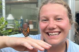 Fly away, butterfly: Interlochen's Sustainability Department raises and  releases 50 monarch butterflies