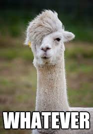 Whatever - Hipster Llama - quickmeme