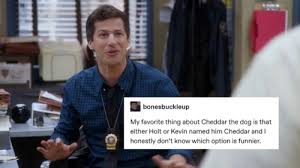 Please.) with 4,155 one of the reasons why i love the b99 fandom so much is because we're not only very chill, but many of the fans have also created memes from the. Brooklyn Nine Nine Tumblr Brooklyn Nine Nine Funny Brooklyn Nine Nine Brooklyn
