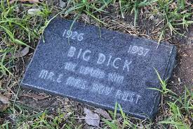 The song, originally written for the stephen king 1989 film adaptation of the same name. Pet Cemetery Near Me Online Shopping