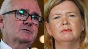 Voters in marginal seat of Bass wary of campaigning politicians' promises