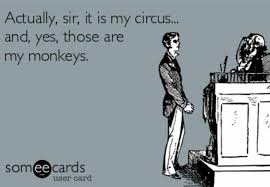 4.9 out of 5 stars 72. My Circus My Monkeys Monkey Memes Circus