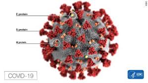The novavax vaccine may just be a glimmer of hope in a very challenging time for south africa. How The Novavax Covid 19 Vaccine Works Cnn