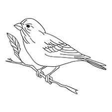 Plus, it's an easy way to celebrate each season or special holidays. Top 20 Free Printable Bird Coloring Pages Online