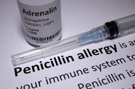 Image result for Penicillin