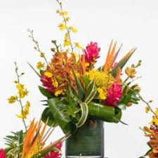 This small tree thrives through all four seasons and offers so much to any garden. Wedding Flowers Delivery Honolulu Watanabe Floral Inc