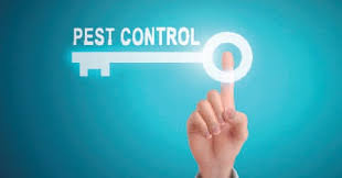 You won't need a business degree to start a pest control business, but certain skills and experiences can contribute to your chances of success. Bootstrap Business How To Start A Pest Control Business